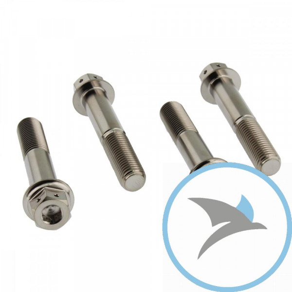 Schraube Bremssattel Satz Pro Bolt Titan Dualdrive - TIFBMON140DD