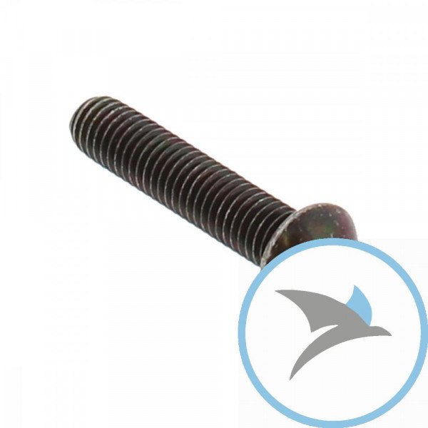Schraube Bremsscheibe Originalersatzteil M6X1.0X30MM - AP8152128