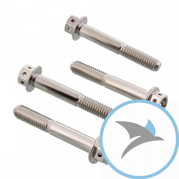 Schraube KLEMM Gabel Satz Pro Bolt Edelstahl V4A - SSFAPINCH590R