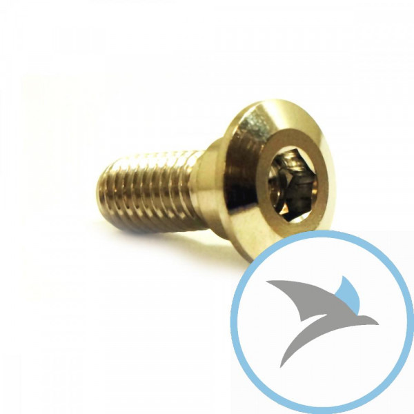 SCHR BR SCHEI JMP BOLT - M8X1.25MM 20MM VA A4