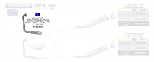 51003KZ-Arrow Krümmer mit Katalysator Yamaha YZF-R 125 08-13