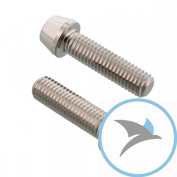 Schraube KLEMM Gabel Satz Pro Bolt Edelstahl V4A - SSFAPINCH560