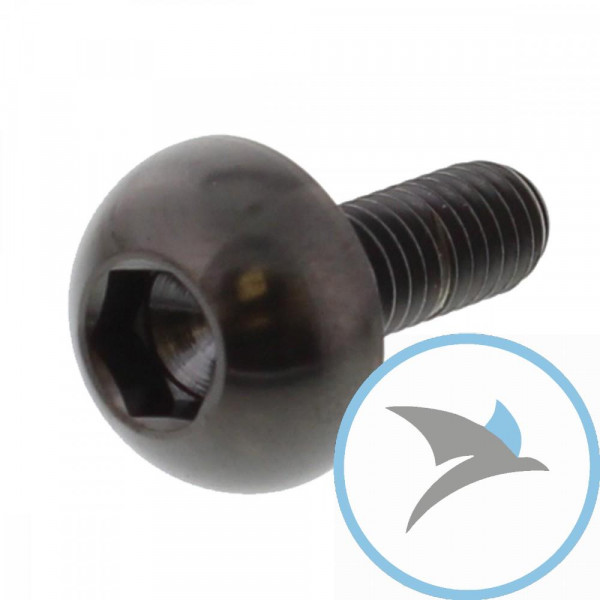 Schraube Bremsscheibe Pro Bolt M6X1.00 mm 17 mm Titan schwarz - TIDISCHONFRBK
