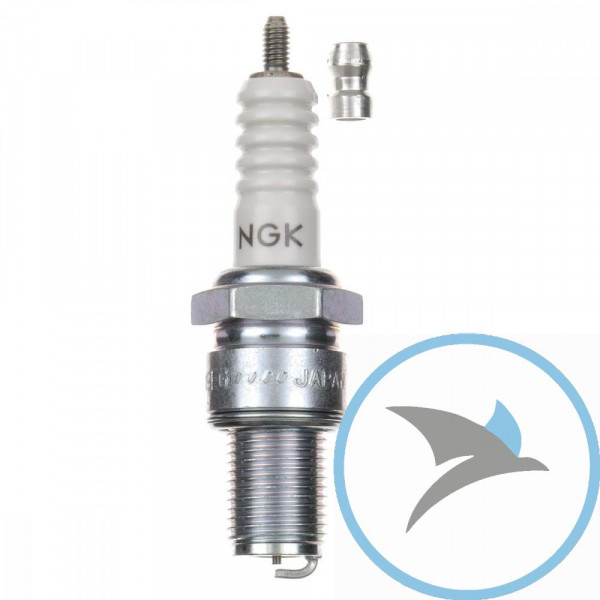 Z KERZE B9EG NGK - 3530