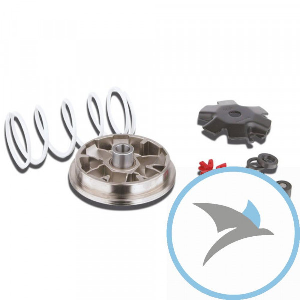 Variomatik tuning Malossi MULTIVAR 2000