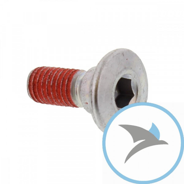 Schraube Bremsscheibe Originalersatzteil M8X1.25X21MM