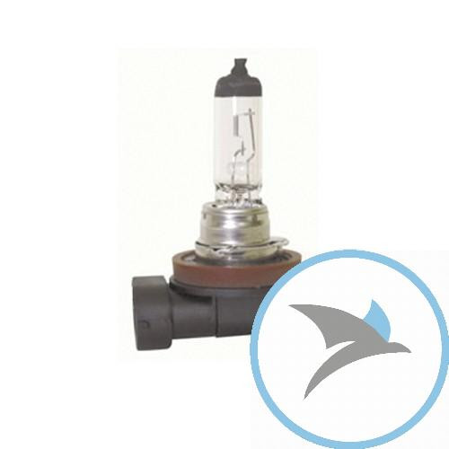 Lampe H11 12V55W JMPPGJ 19-2 Inhalt 1 Stück