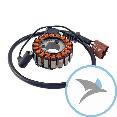 Lichtmaschine Stator