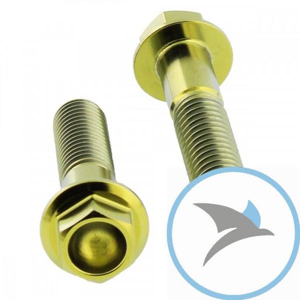 Schraube Bremssattel Satz Pro Bolt Titan gold - TIFBMON220G