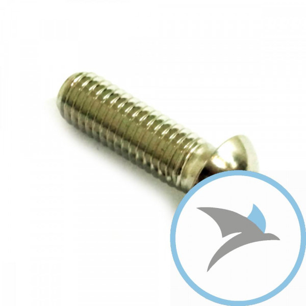 Schraube Bremsscheibe Pro Bolt M8X1.25 mm 25 mm Edelstahl V4A - LSSDISCBMW
