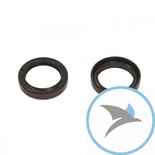 Simmerring Satz Gabel Ari30X40X8/9