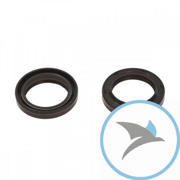 Simmerring Satz Gabel Ariete 35X48X8/10.5 - ARI 061