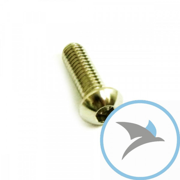 SCHR BR SCHEI JMP BOLT - M6X1MM 18MM VA A4