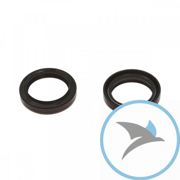 Simmerring Satz Gabel Ari30X40X7/9