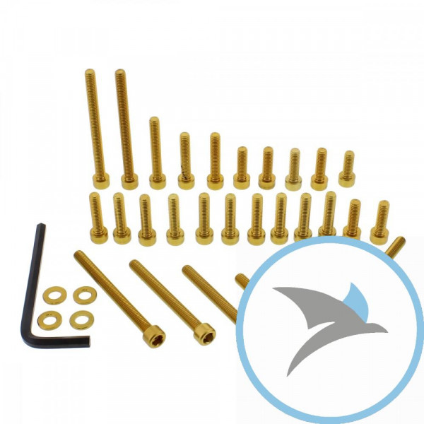 Schraube Motor Satz Pro Bolt alu gold - ESU096G