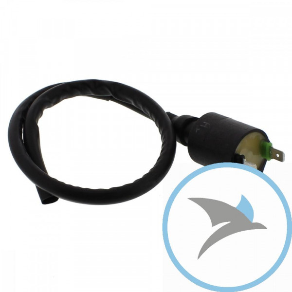 Zündspule 12V