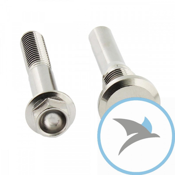 Schraube Bremssattel Satz Pro Bolt Edelstahl V4A - SSRBMON150