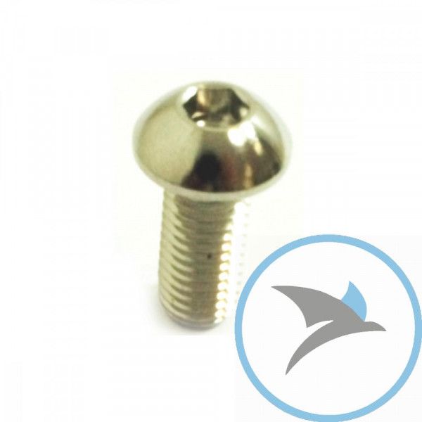 Schraube Bremsscheibe Pro Bolt M8X1.25 mm 20 mm Edelstahl V4A - LSSDISCDUC30