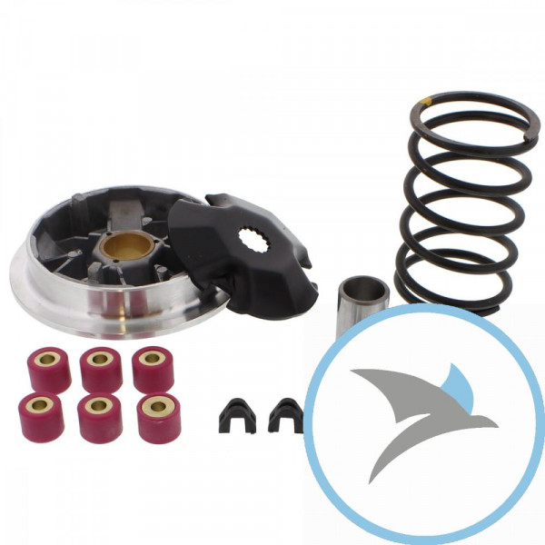 Variomatik tuning Athena - P400485110004