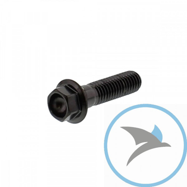 Schraube 6 Kant Pro Bolt M8X1.25 35 mm Edelstahl V4A schwarz - LSSHX835BK