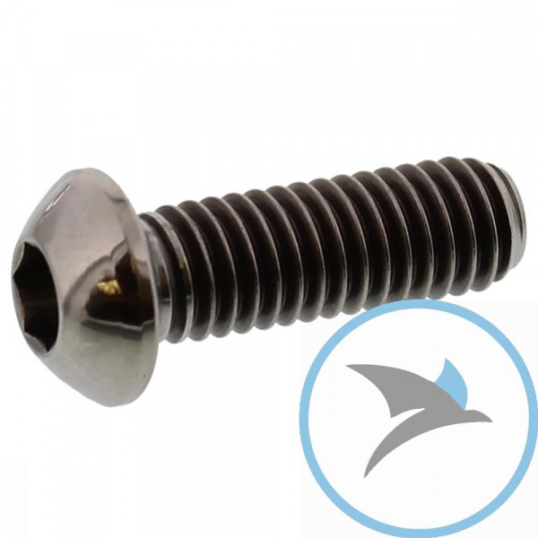 Schraube Bremsscheibe Pro Bolt M6X1.00 mm 18 mm Titan - TIDISCBMW002