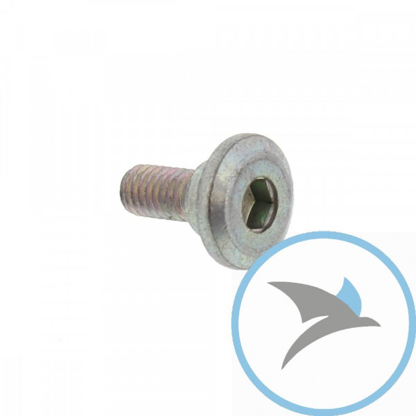 Schraube Bremsscheibe Originalersatzteil M6X1.0X15MM