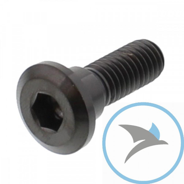 Schraube Bremsscheibe Pro Bolt M8X1.25 mm 24 mm Titan schwarz - TIDISCHONREBK