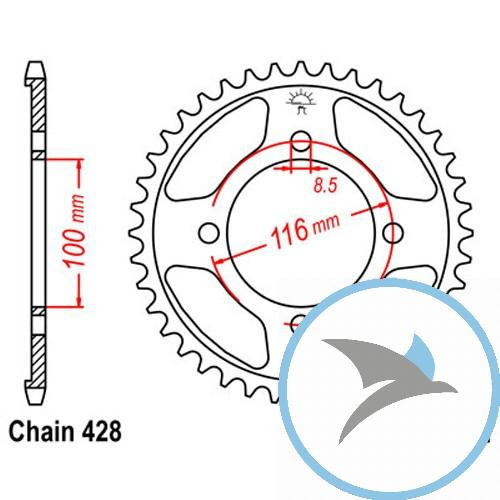 Kettenrad 54Z Teilung 428 Innendurchmesser 100 Lochkreis 116 - JTR462.54
