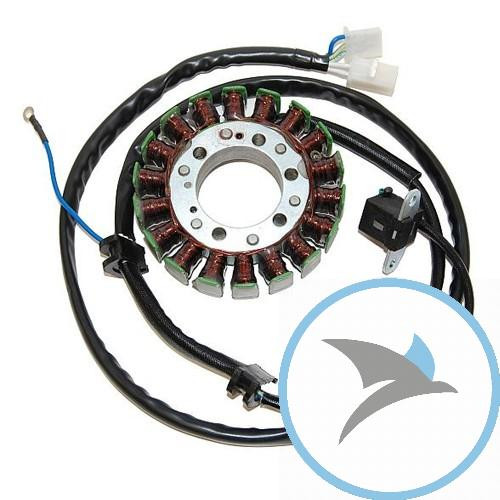 Lichtmaschine Stator - ESG733