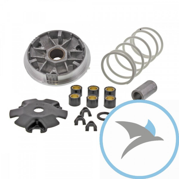 VARIOM TUNING MALO -