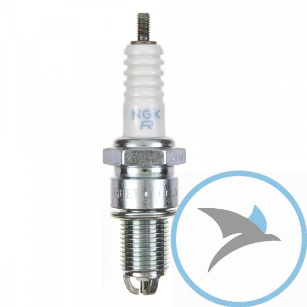 Z KERZE BUR6ET VL1 NGK - 2876