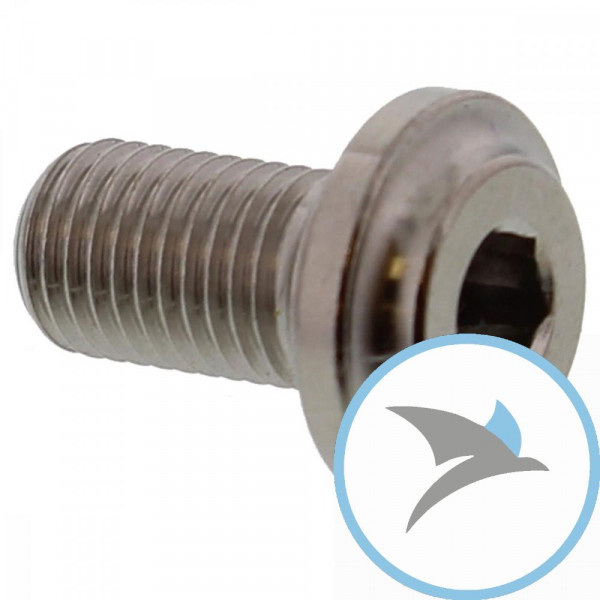 Schraube Bremsscheibe Pro Bolt M8X1.00 mm 13 mm Titan - TIDISCDUC50