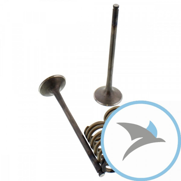 Ventil Satz Prox AUSLASS+Federn - 28.SES6334-1