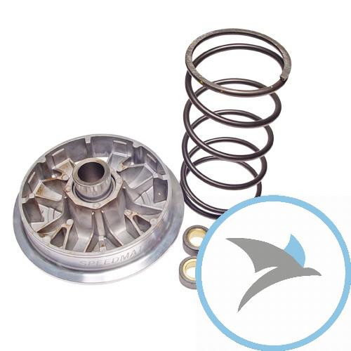 Variomatik tuning Athena - P400510110003