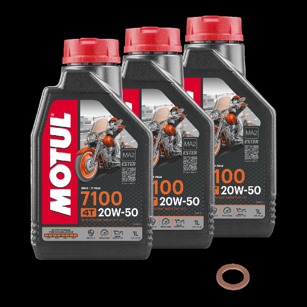 BMW R 100 RS/2 Monolever Service Kit Ölwechsel Öl Motul 7100 20W50 Schraube