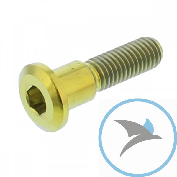 Schraube Bremsscheibe Pro Bolt M8X1.25 mm 33 mm Titan gold - TIDISCGSXRG