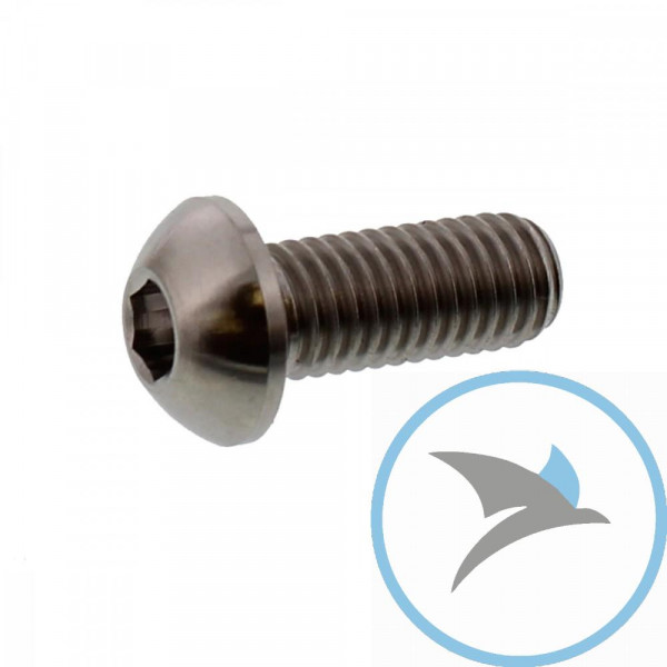 SCHR BR SCHEI JMP BOLT - M8X1.25MM 20MM TI