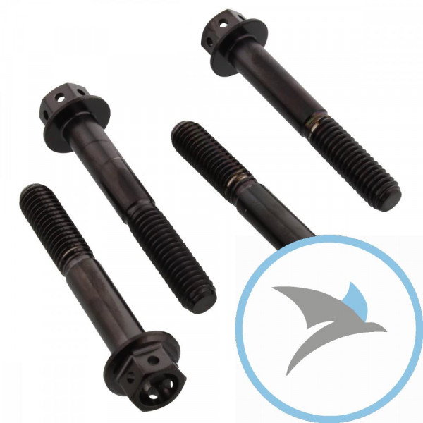 Schraube KLEMM Gabel Satz Pro Bolt Edelstahl V4A schwarz - SSFAPINCH590RBK