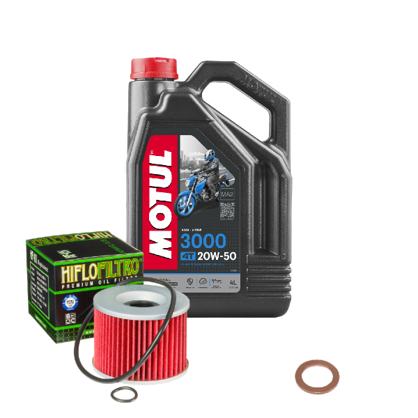 Yamaha FJ 1200 Service Kit Ölwechsel Öl Motul 3000 20W50 Ölfilter
