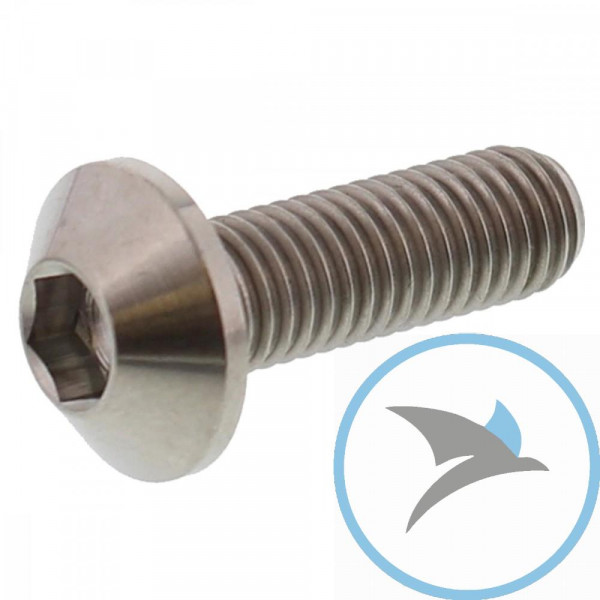 SCHR BR SCHEI JMP BOLT - M8X1.25MM 25MM TI