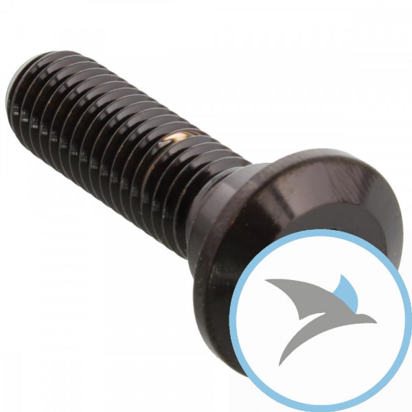 Schraube Bremsscheibe Pro Bolt M8X1.25 mm 30 mm Edelstahl V4A schwarz - LSSDISCKAWSUZBK