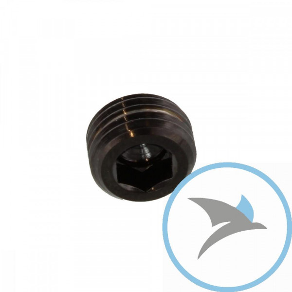 Stopfen Gleitstift Pro Bolt Edelstahl V4A schwarz - LSSPINGRUBBK
