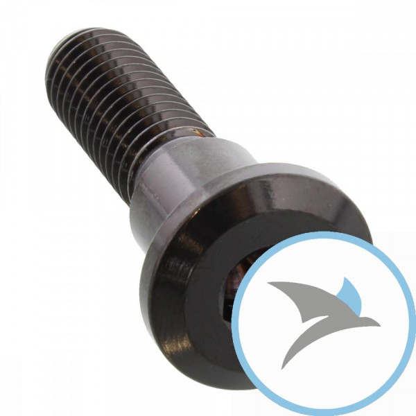 Schraube Bremsscheibe Pro Bolt M8X1.25 mm 33 mm Edelstahl V4A schwarz - LSSDISCGSXRBK