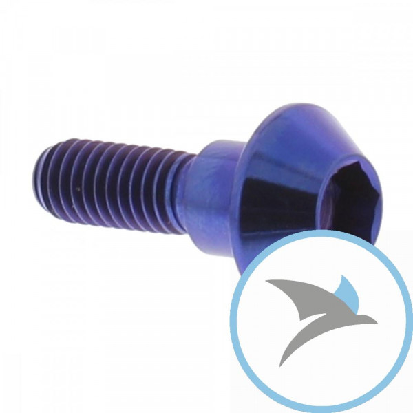 Schraube Bremsscheibe Pro Bolt M6X1.00 mm 20 mm Titan blau - TIDISCR1R6B