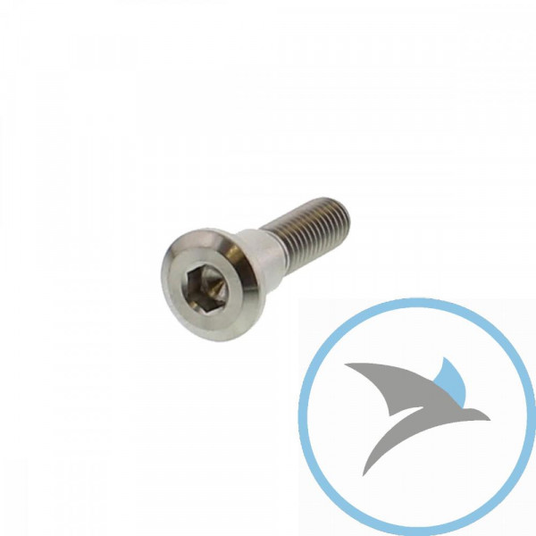 SCHR BR SCHEI JMP BOLT - M8X1.25MM 33MM TI