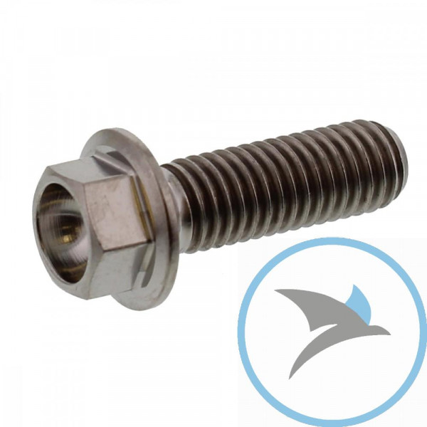 SCHR 6KT JMP BOLT - M8X1.25MM 25MM TI