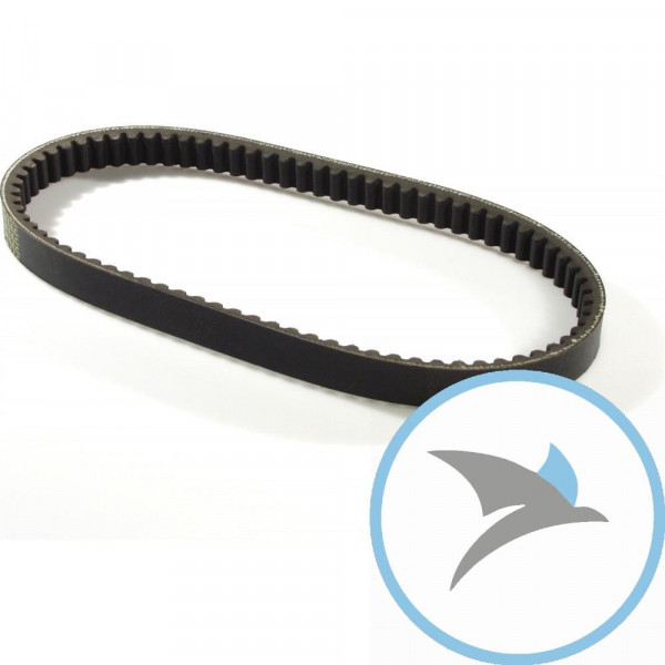 Keilriemen 22X10X816 Malossi X-K Belt