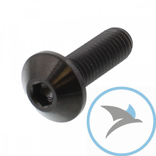 Schraube Bremsscheibe Pro Bolt M8X1.25 mm 25 mm Titan schwarz - TIDISCYAMBK