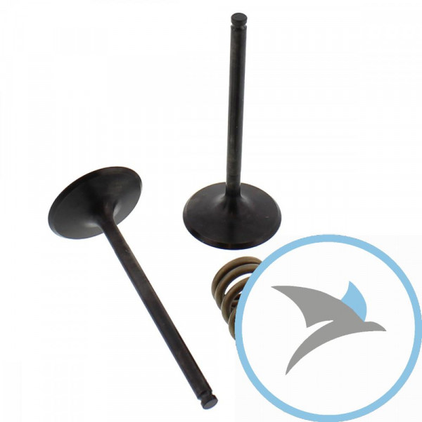 Ventil Satz Prox EINLASS+Federn - 28.SIS6353-2