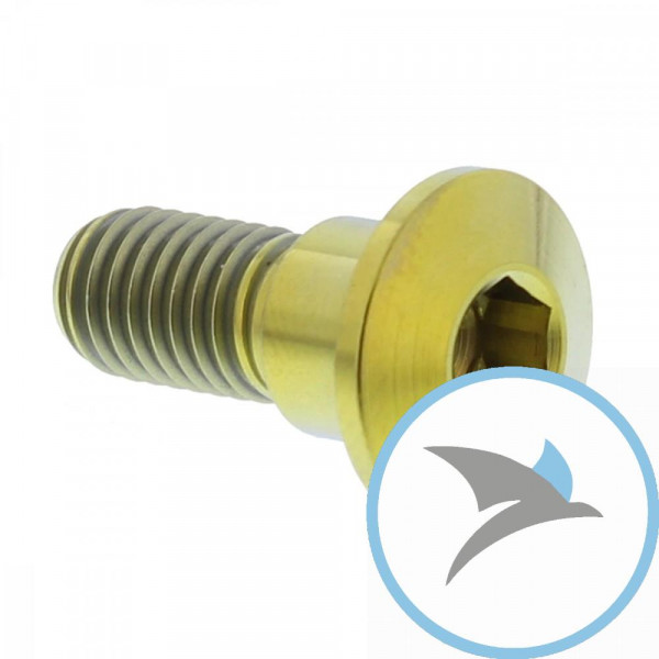 Schraube Bremsscheibe Pro Bolt M8X1.25 mm 22 mm Titan gold - TIDISCSUZ20G